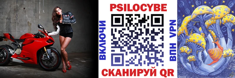 где продают наркотики  Нестеровская  Галлюциногенные грибы Psilocybe 